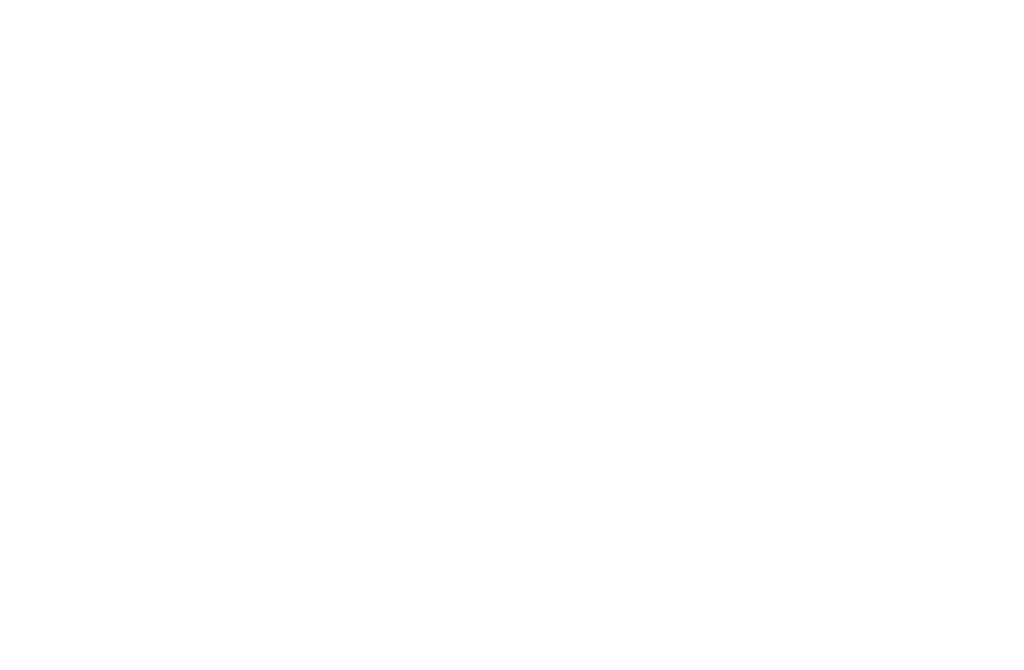 Dick Lovett Logo in White